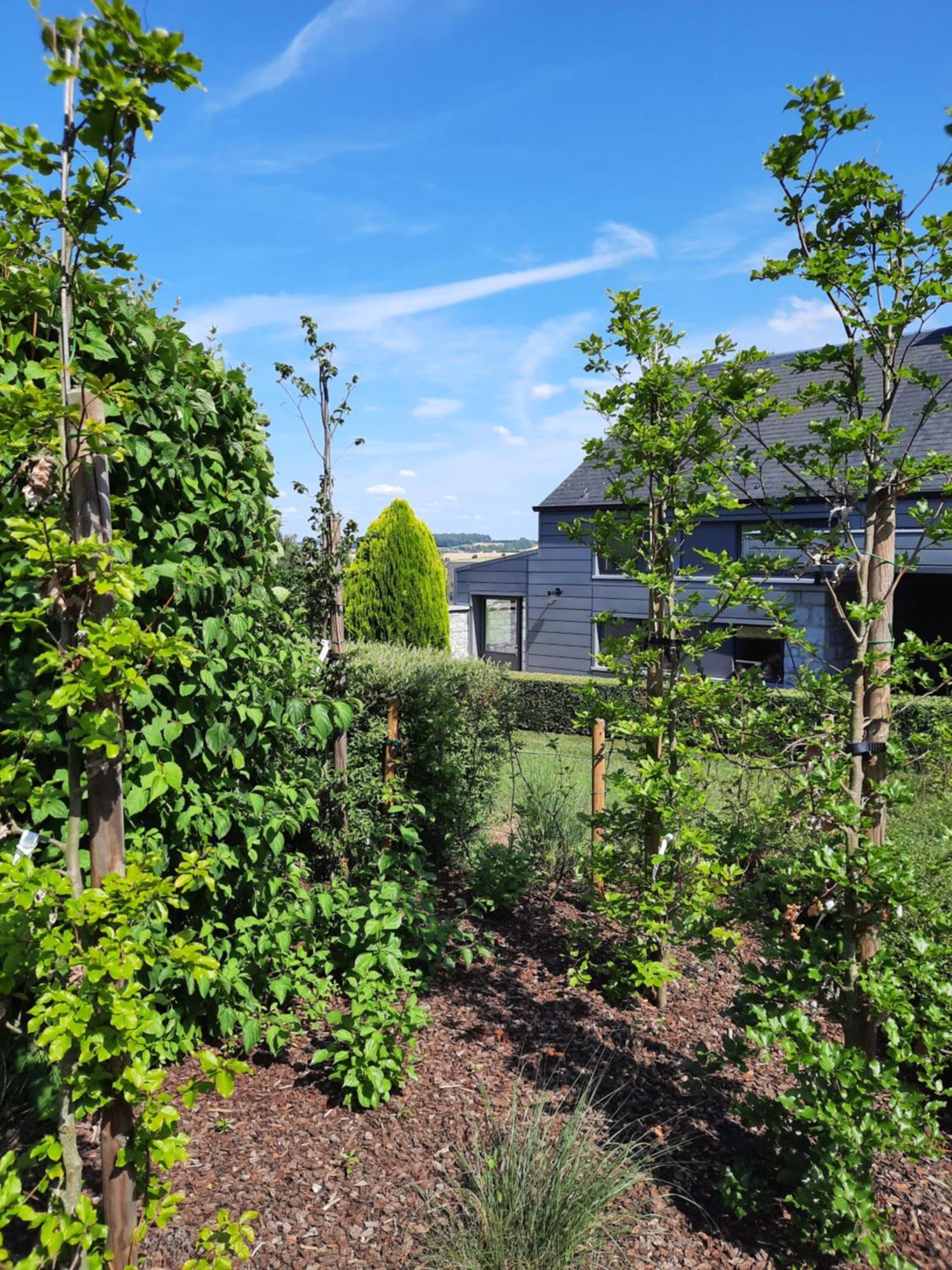 La Petite Maison Du Weris Villa Miecret Exteriör bild